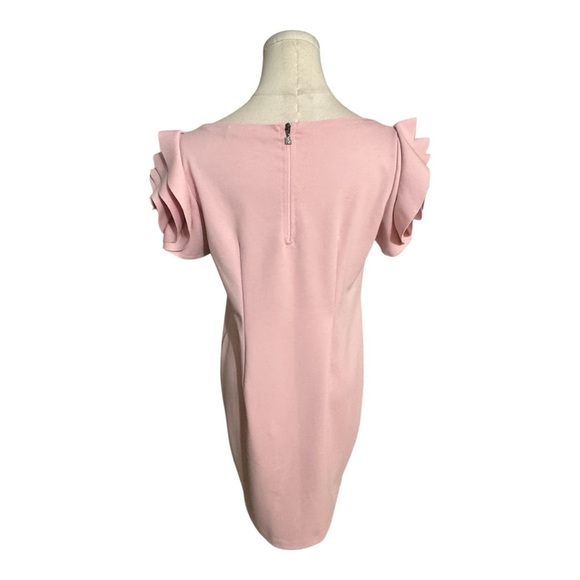 Pietro Brunelli Pink Salisburgo Rose Ruffle Maternity Dress Size S Baby Shower - Picture 10 of 13